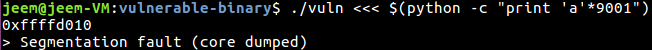 example run of vuln with overflow